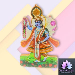 YAMUNA MAHARANI