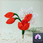 CLOTH CHANDRIKA