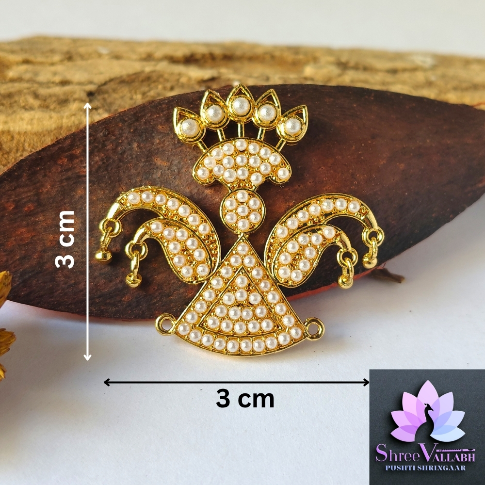 MOTI TIPARA - Image 5