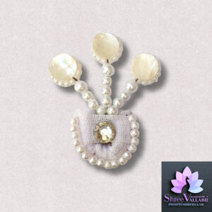 PAGH WITH CHHIP CHANDRIKA