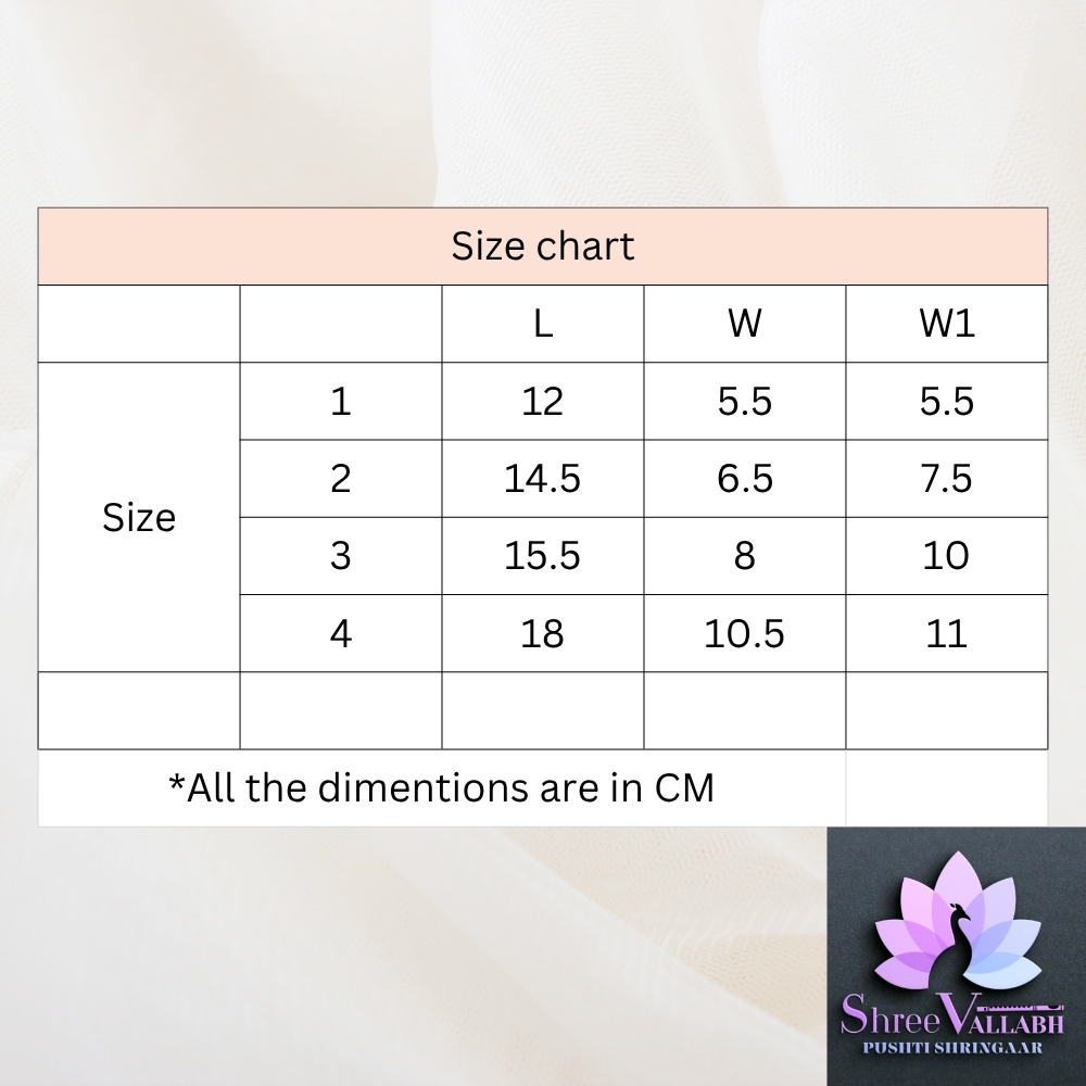 CHHINT CHIRA VASTRA - Image 2
