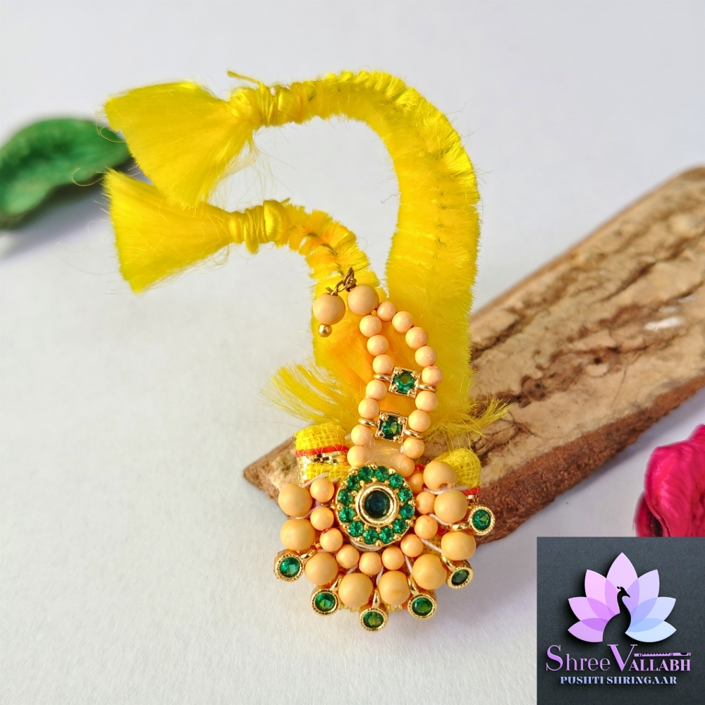 GOL PAGH WITH KATRA - Image 12